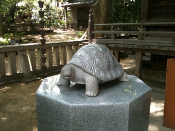 逗子 亀岡八幡宮 鎌倉逗子葉山情報